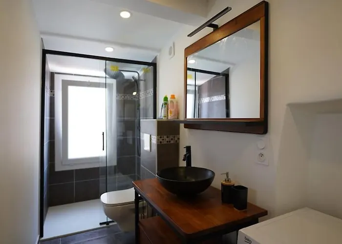 Apartment F2 Type Loft A